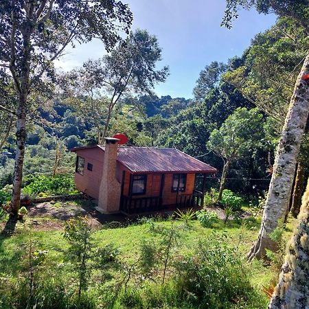 Las Bromelias Lodge Paso Macho Esterno foto