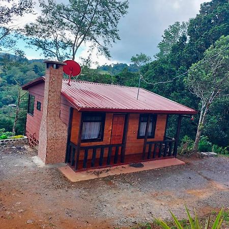 Las Bromelias Lodge Paso Macho Esterno foto