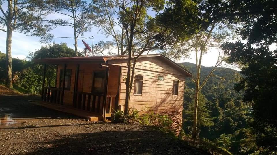 Las Bromelias Lodge Paso Macho Esterno foto