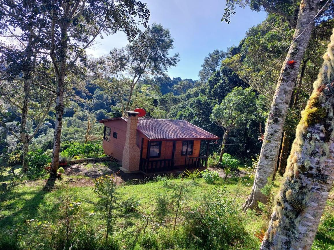 Las Bromelias Lodge Paso Macho Esterno foto